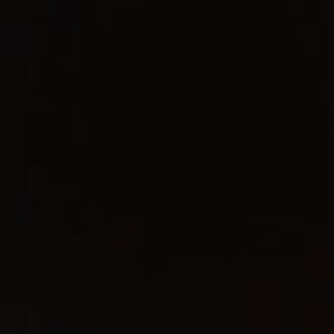 Meet your Posher, Lucy